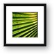 Abstract Palm leaves Framed Print