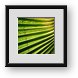 Buy Framed Print