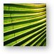 Abstract Palm leaves Metal Print