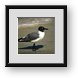 Buy Framed Print