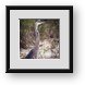 Buy Framed Print