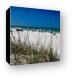 One of the beaches on Sanibel Canvas Print