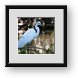 Buy Framed Print
