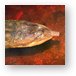 Some sort of water turtle Metal Print