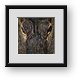 Buy Framed Print