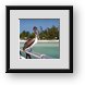 Buy Framed Print