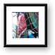 Tour boat, pirate style Framed Print