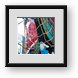 Buy Framed Print