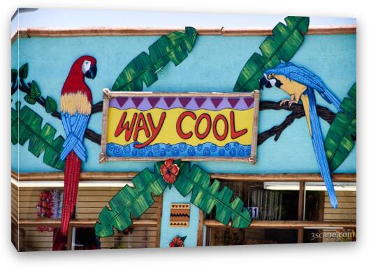 Way Cool shop sign Fine Art Canvas Print