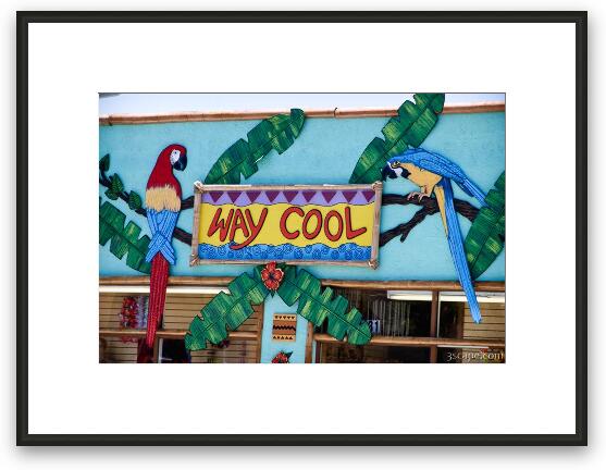 Way Cool shop sign Framed Fine Art Print