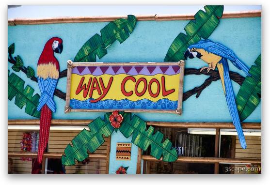 Way Cool shop sign Fine Art Metal Print