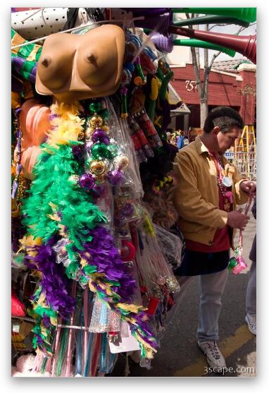Vendor selling trinkets, boas, hats, and plastic boobs Fine Art Print