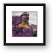 Circus Clowns Float (Krewe of Iris) Framed Print