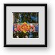Buy Framed Print