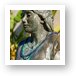 Fountain Lady Statue with beads Art Print