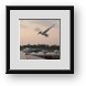 Buy Framed Print