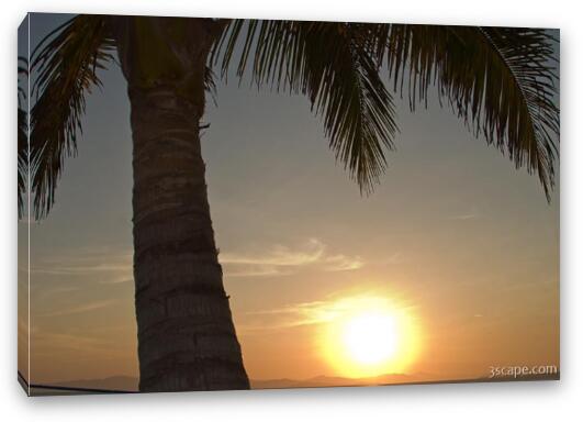 Sunset under the palm tree Fine Art Canvas Print