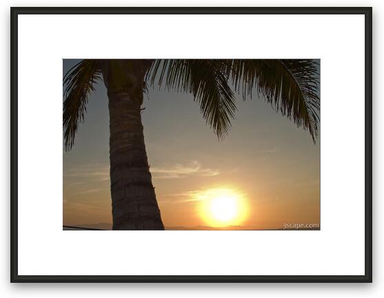 Sunset under the palm tree Framed Fine Art Print