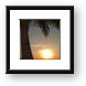 Sunset under the palm tree Framed Print
