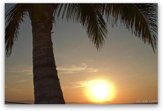 Sunset under the palm tree Fine Art Print