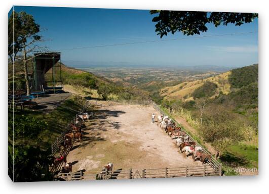 Horse corral at the start of our zipline tour Fine Art Canvas Print