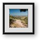 Buy Framed Print