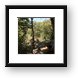 The first of many zip lines Framed Print