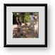 Buy Framed Print