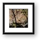 Rappelling down the cable over a waterfall Framed Print