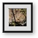 Buy Framed Print
