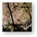 Rappelling down the cable over a waterfall Metal Print