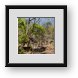 Buy Framed Print
