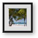 Buy Framed Print