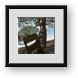 Buy Framed Print