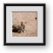 Buy Framed Print