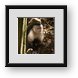 Buy Framed Print