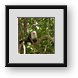 Buy Framed Print