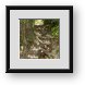 Buy Framed Print