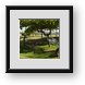 Buy Framed Print