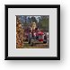Buy Framed Print