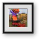 Buy Framed Print