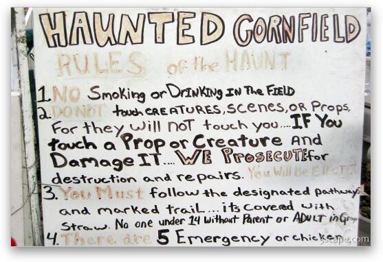 Strict rules for the haunted cornfield Fine Art Print