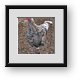 Buy Framed Print