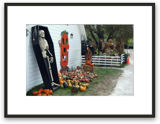 Dead guy at the pumpkin patch Framed Fine Art Print