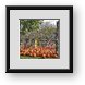 Buy Framed Print