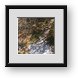 Buy Framed Print