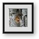 Buy Framed Print