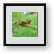 Buy Framed Print