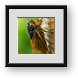 Buy Framed Print