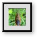 Buy Framed Print
